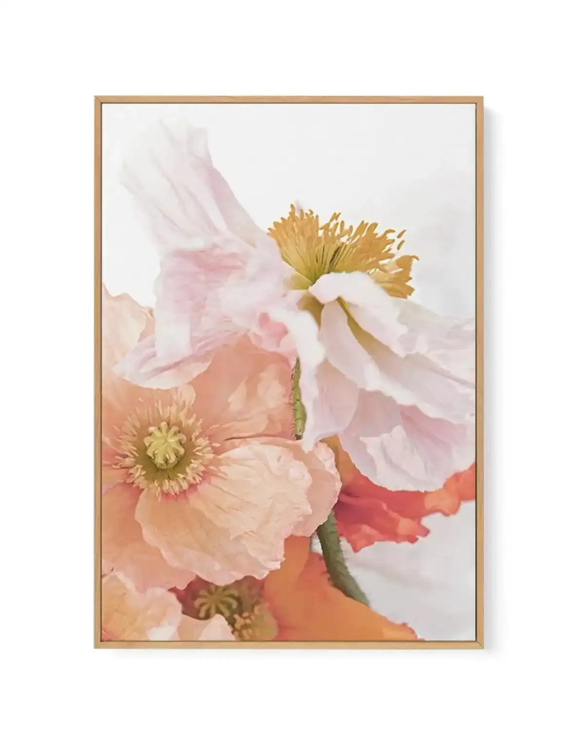 Framed canvas art print featuring a watercolor-style arrangement of poppies with delicate, overlapping petals in soft blush pink, cream, coral, and deep red tones. Golden yellow stamens are prominently displayed at the flower centers. The composition shows multiple blooms at varying depths against a pale neutral background, creating a soft, romantic aesthetic. The artwork is displayed in a natural wood frame with a white border, presenting a vertical rectangular orientation.