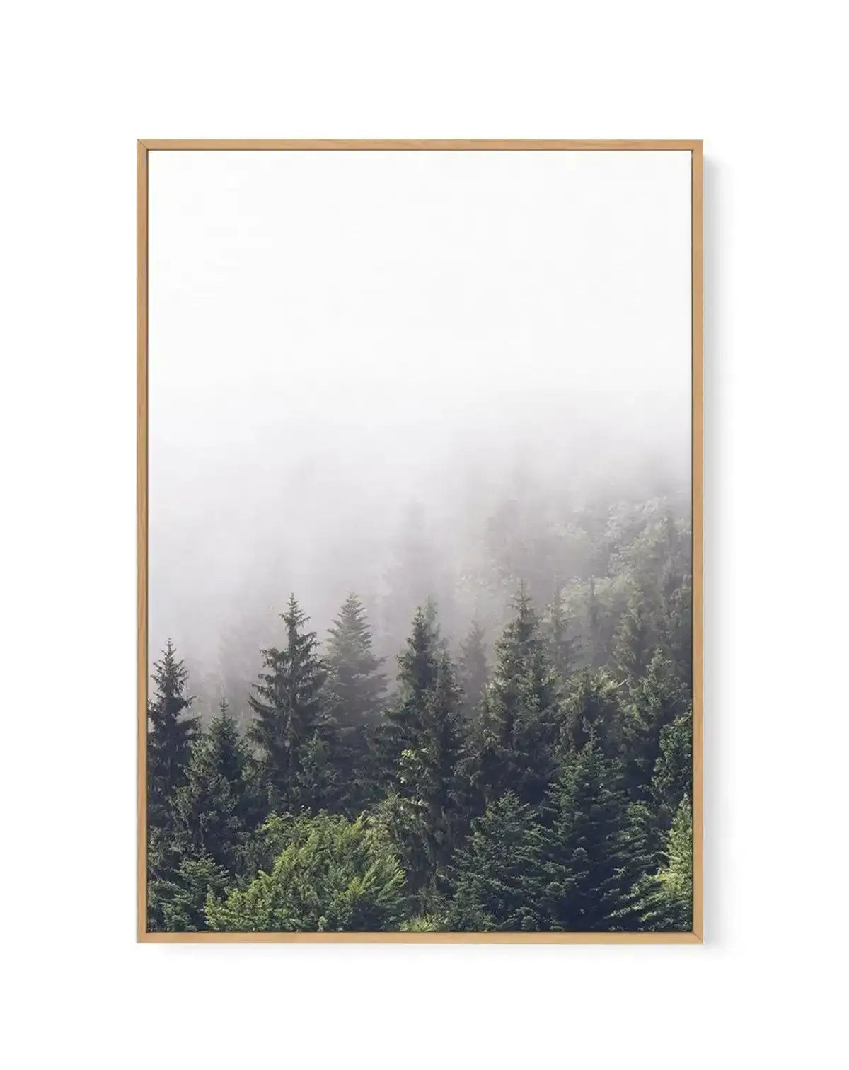 Misty Forest PT | Framed Canvas-CANVAS-You can shop wall art online with Olive et Oriel for everything from abstract art to fun kids wall art. Our beautiful modern art prints and canvas art are available from large canvas prints to wall art paintings and our proudly Australian artwork collection offers only the highest quality framed large wall art and canvas art Australia - You can buy fashion photography prints or Hampton print posters and paintings on canvas from Olive et Oriel and have them