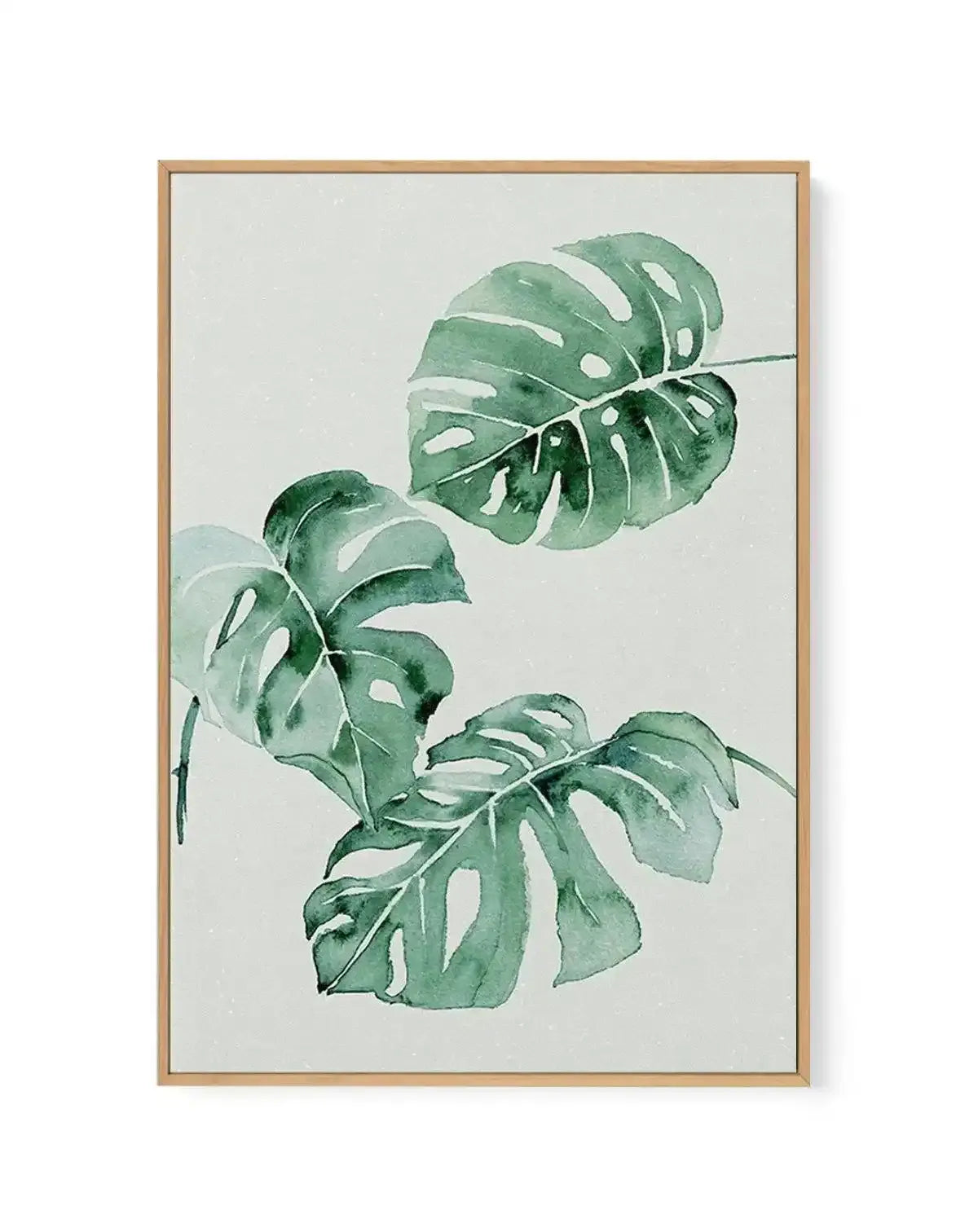 Watercolour painting of three monstera deliciosa leaves in varying shades of sage green and soft teal against a pale cream background. The leaves display characteristic split patterns and holes rendered in white, with subtle colour gradations creating depth. Framed in natural wood with white border. Vertical composition with leaves arranged diagonally across the canvas.