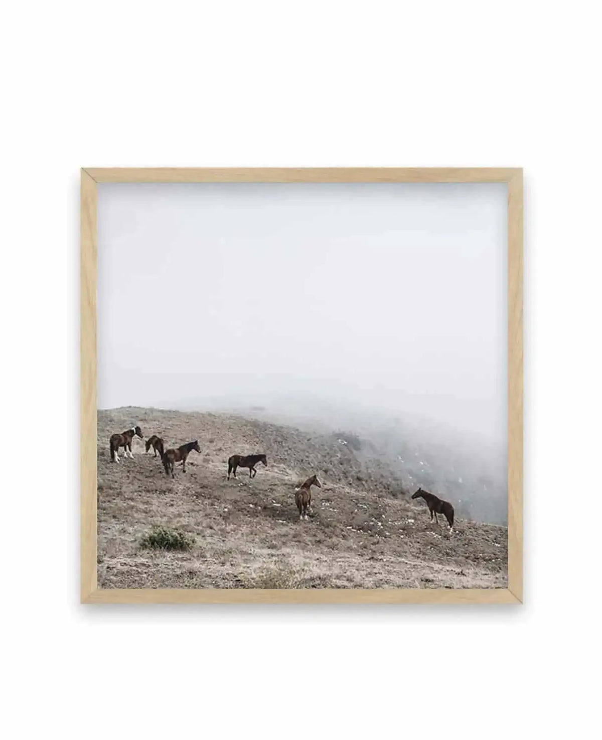 Square art print in natural wood frame depicting a misty mountain landscape. Six dark brown horses graze on a rocky, sparse hillside in muted earth tones. Heavy fog obscures the distant mountains creating a hazy, atmospheric scene. Sparse desert vegetation visible on the sloped terrain. Overcast, monochromatic color palette with grays, browns, and whites. Photographic style with soft, diffused light. Print has white border around the edges.