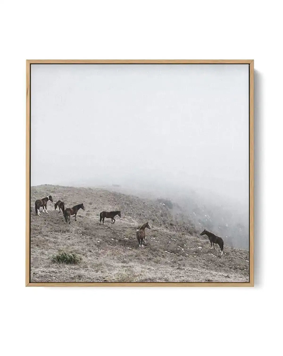 Mountain Horses SQ | Framed Canvas-CANVAS-You can shop wall art online with Olive et Oriel for everything from abstract art to fun kids wall art. Our beautiful modern art prints and canvas art are available from large canvas prints to wall art paintings and our proudly Australian artwork collection offers only the highest quality framed large wall art and canvas art Australia - You can buy fashion photography prints or Hampton print posters and paintings on canvas from Olive et Oriel and have th
