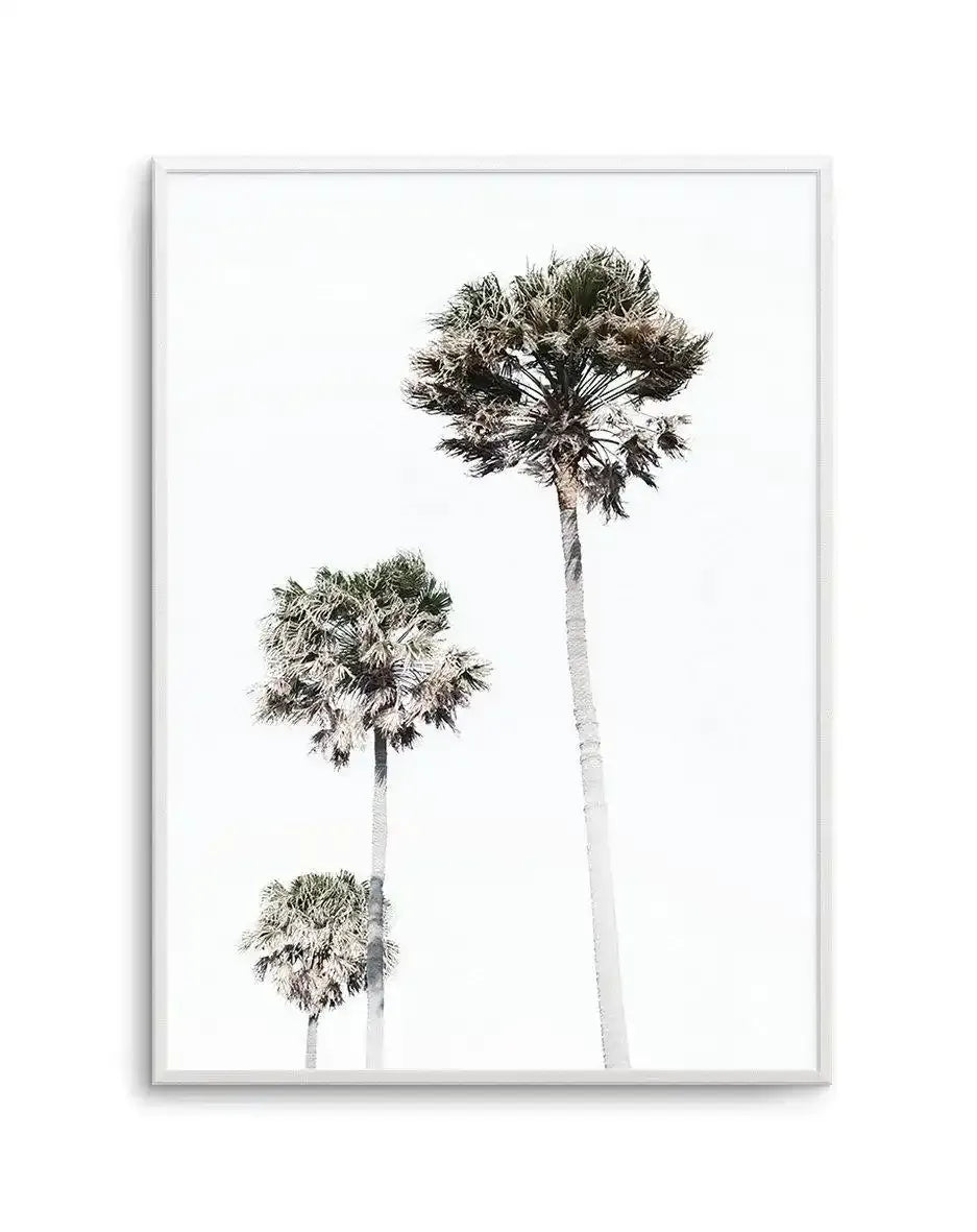 Black and white photographic art print featuring three palm trees of varying heights against a white background, displayed in a silver-gray frame. The tallest palm tree on the right has an elongated trunk with a full, feathery crown at the top. Two shorter palms flank it on the left, creating a minimalist botanical composition. The photograph captures fine detail in the frond textures and trunk bark with a clean, serene aesthetic.