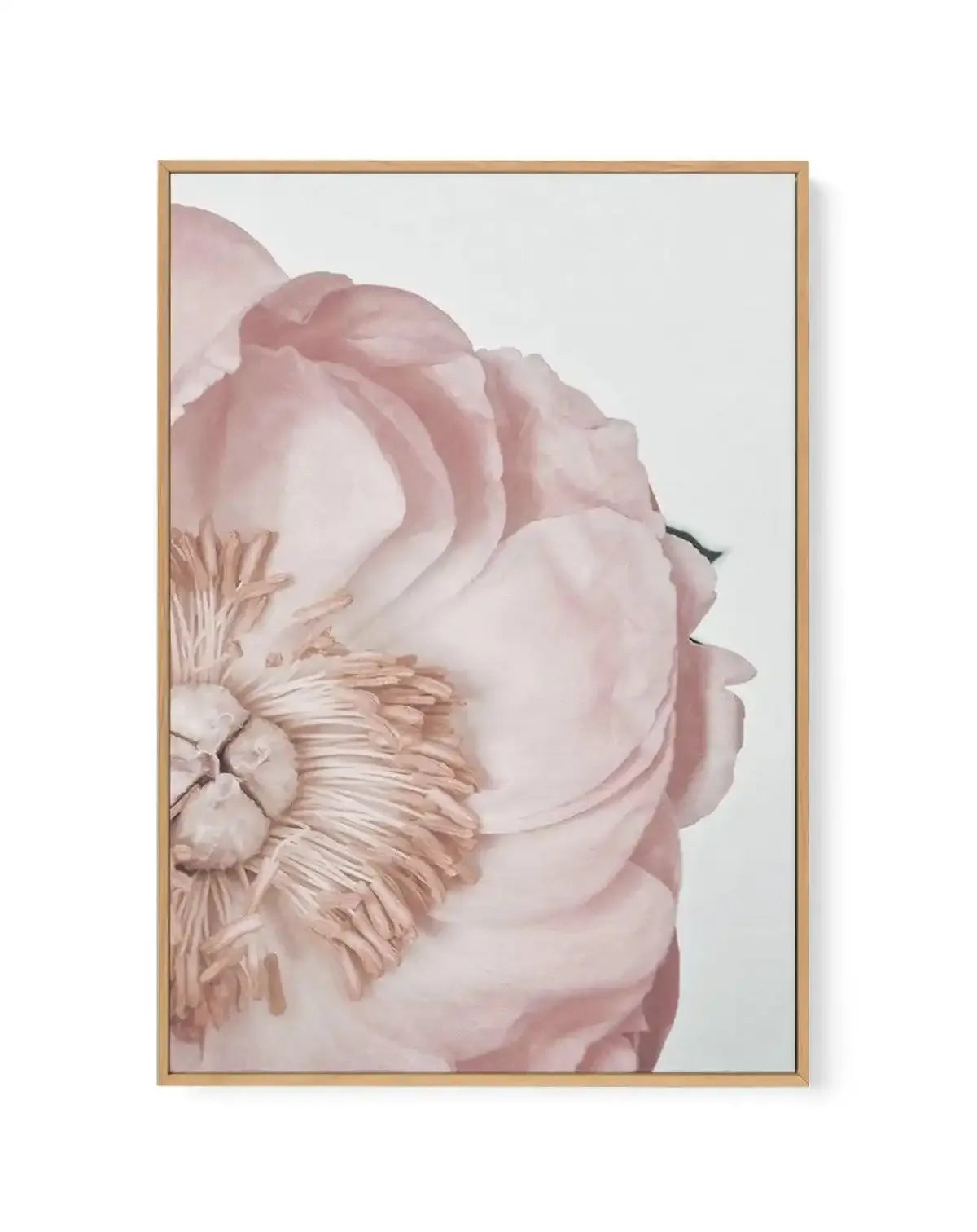 Peony Parfait I | Framed Canvas-CANVAS-You can shop wall art online with Olive et Oriel for everything from abstract art to fun kids wall art. Our beautiful modern art prints and canvas art are available from large canvas prints to wall art paintings and our proudly Australian artwork collection offers only the highest quality framed large wall art and canvas art Australia - You can buy fashion photography prints or Hampton print posters and paintings on canvas from Olive et Oriel and have them