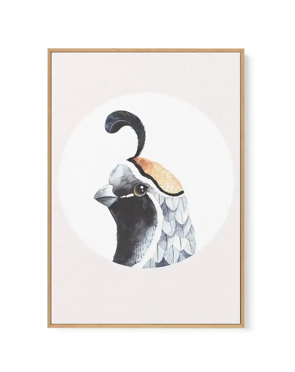 Quail | Framed Canvas-CANVAS-You can shop wall art online with Olive et Oriel for everything from abstract art to fun kids wall art. Our beautiful modern art prints and canvas art are available from large canvas prints to wall art paintings and our proudly Australian artwork collection offers only the highest quality framed large wall art and canvas art Australia - You can buy fashion photography prints or Hampton print posters and paintings on canvas from Olive et Oriel and have them delivered