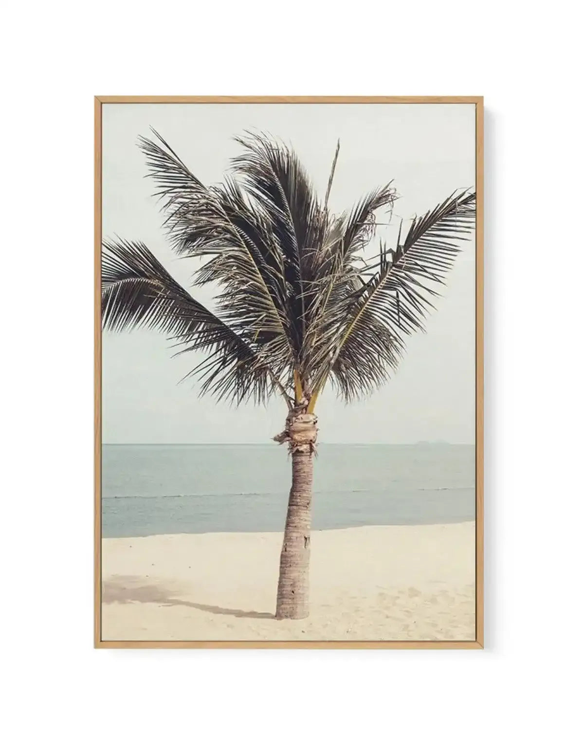 Framed canvas art print featuring a vintage photograph of a single palm tree standing on sandy beach with calm turquoise ocean and hazy sky in background. The palm trunk is tan and textured, with dark green fronds spreading outward. The composition uses muted, naturalistic colors including cream sand, soft teal water, and pale gray-green sky. The canvas is surrounded by a natural wood-tone frame with white border.