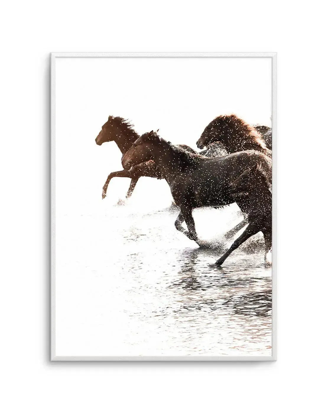 Framed photography art print of three dark brown horses galloping through shallow water, creating splashes and reflections, against a bright, almost white background, with a white frame and white border.