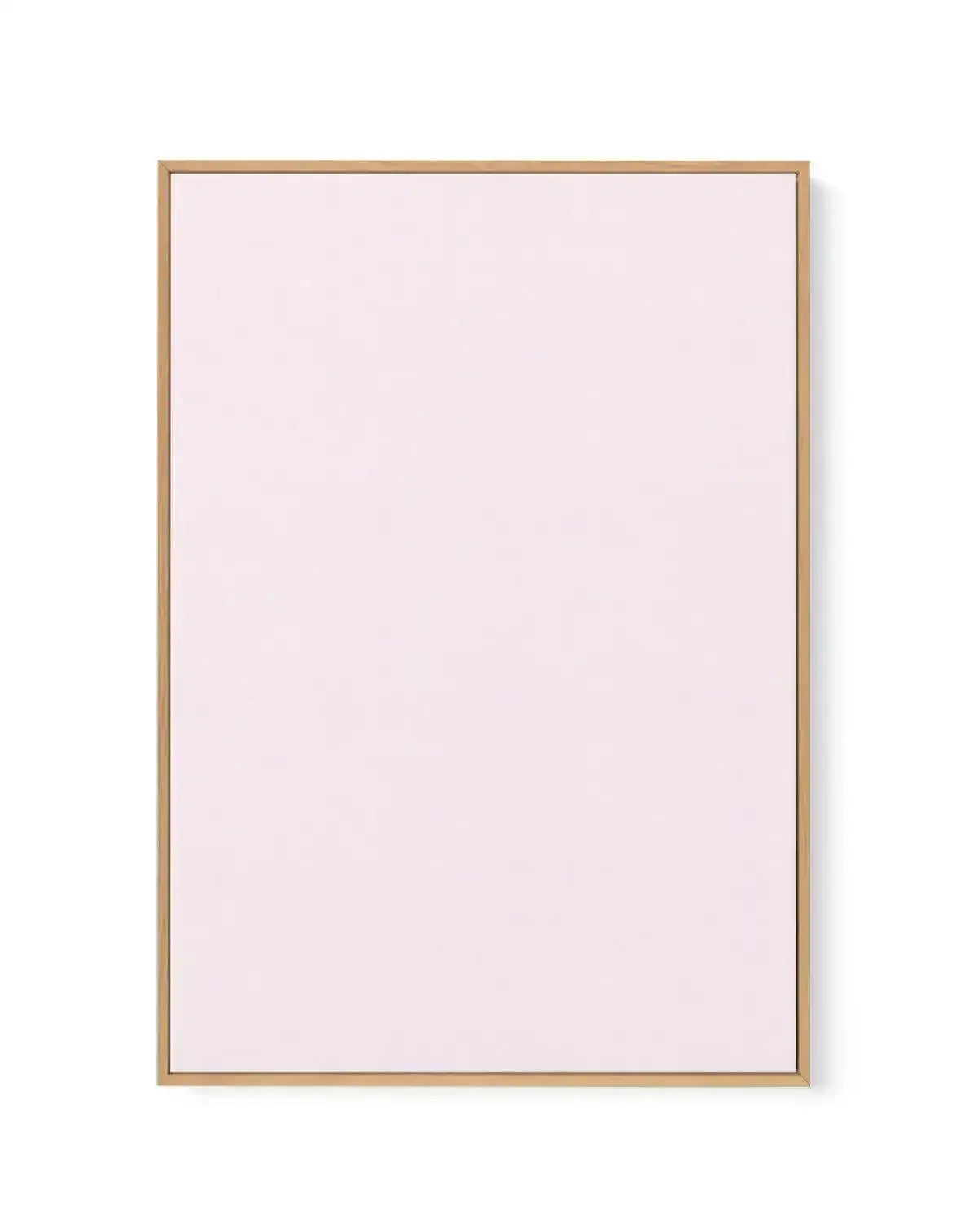 Rose en Blanc | Framed Canvas-CANVAS-You can shop wall art online with Olive et Oriel for everything from abstract art to fun kids wall art. Our beautiful modern art prints and canvas art are available from large canvas prints to wall art paintings and our proudly Australian artwork collection offers only the highest quality framed large wall art and canvas art Australia - You can buy fashion photography prints or Hampton print posters and paintings on canvas from Olive et Oriel and have them de