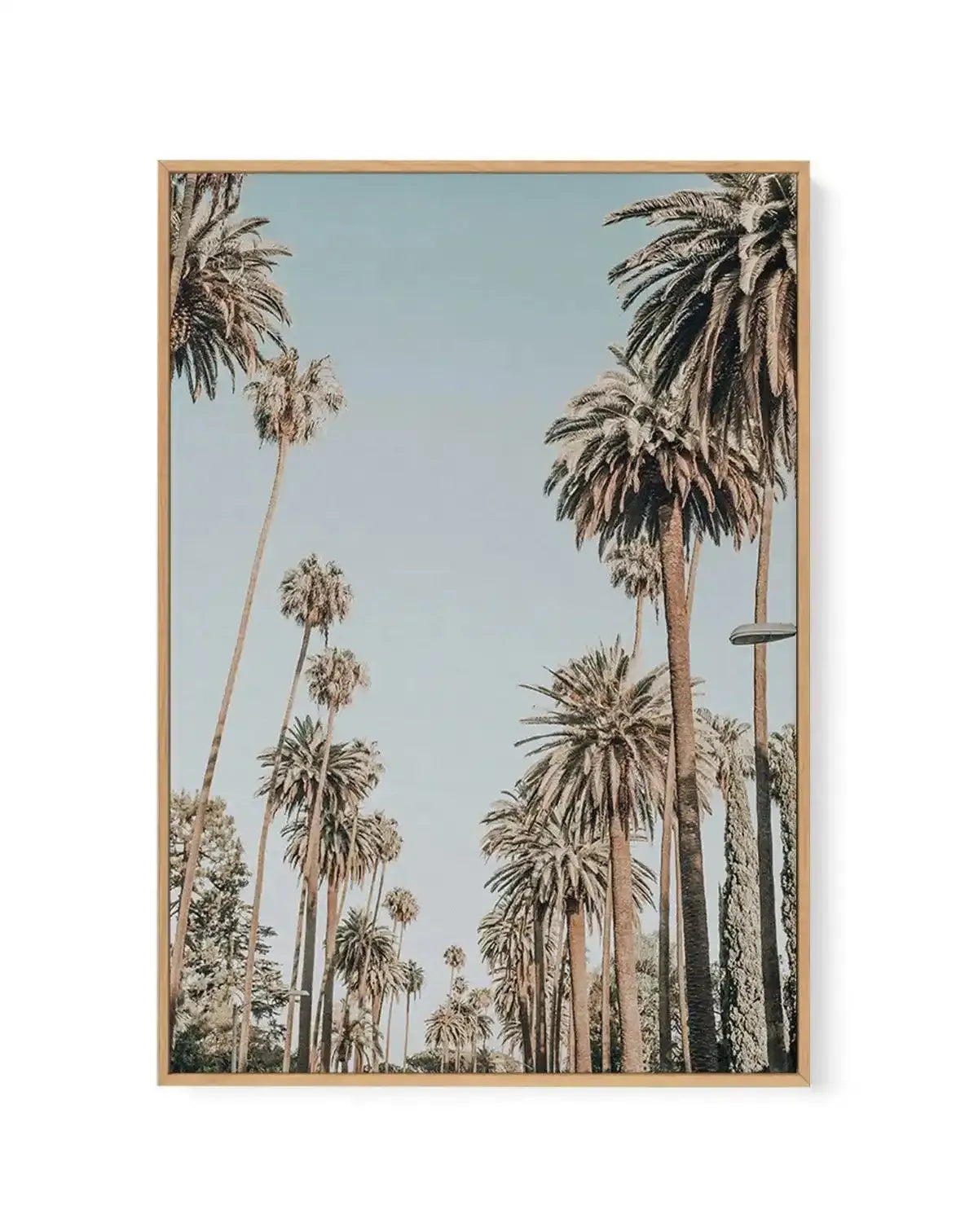 Framed canvas art print featuring a photograph of tall palm trees lining a tree-lined avenue, shot from below looking upward against a pale blue sky. The composition shows multiple palm trees of varying heights creating a symmetrical perspective, with thin trunks and full fronds in muted greens and browns. The image has a soft, vintage-toned quality with warm beige undertones. The canvas is mounted in a natural wood frame with a thin border.