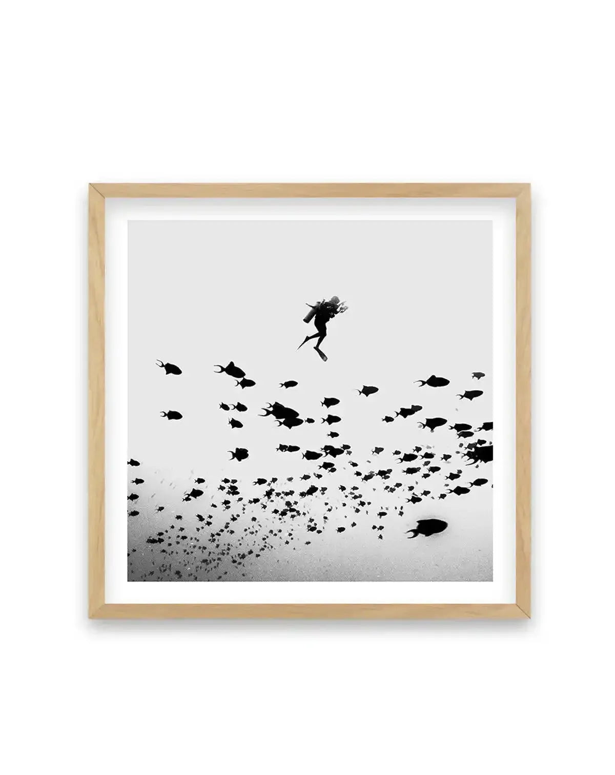 Framed black and white photograph of a scuba diver swimming above a large school of fish, displayed in a natural wood frame with white border. The composition features the diver in the upper center, silhouetted against a light background, with hundreds of fish forming a dense cloud below, creating a sense of depth and movement.