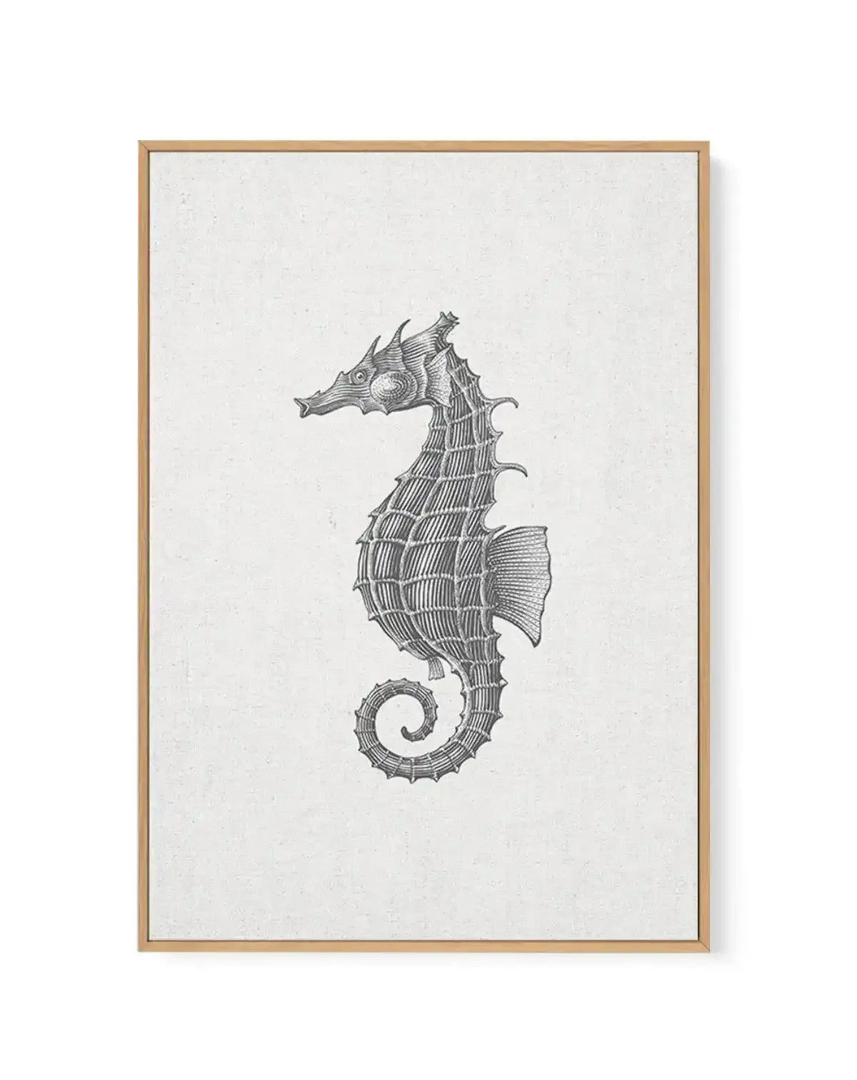 Detailed black ink engraving of a seahorse on cream linen canvas, displayed in a natural wood frame. The seahorse features intricate cross-hatching throughout its segmented body, detailed fin work, prominent eye, and characteristic curled tail. The illustration uses fine line work in a classical naturalist style. The off-white linen background shows subtle texture, and the light wood frame has a simple border.