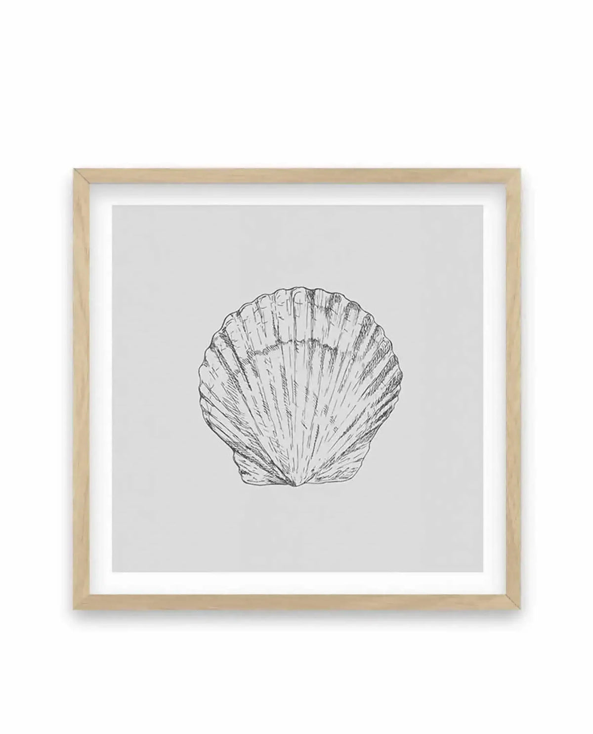 Framed square art print featuring a detailed pen and ink line drawing of a bay scallop shell centered on a light gray background. The shell illustration shows radiating ridges and natural texture rendered in black ink with fine cross-hatching. The artwork is mounted with a white border within a natural light wood frame.