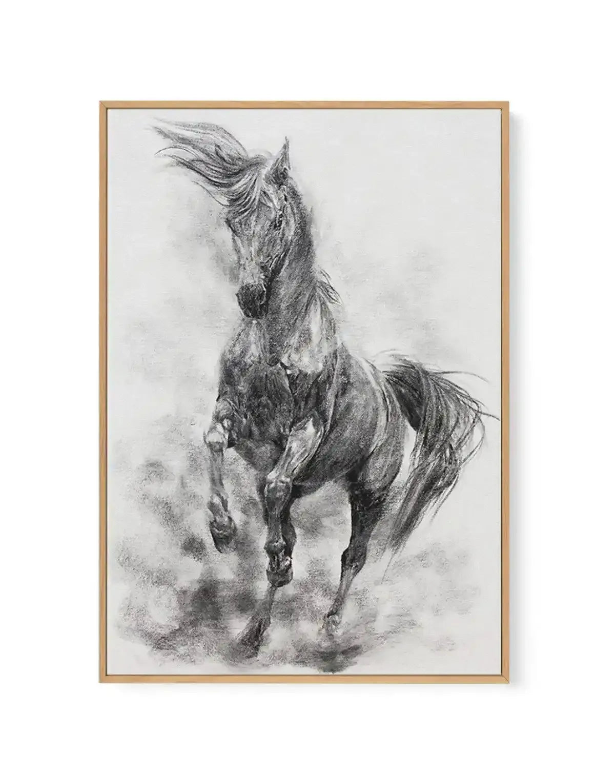Stallion in Charcoal | Framed Canvas-CANVAS-You can shop wall art online with Olive et Oriel for everything from abstract art to fun kids wall art. Our beautiful modern art prints and canvas art are available from large canvas prints to wall art paintings and our proudly Australian artwork collection offers only the highest quality framed large wall art and canvas art Australia - You can buy fashion photography prints or Hampton print posters and paintings on canvas from Olive et Oriel and have