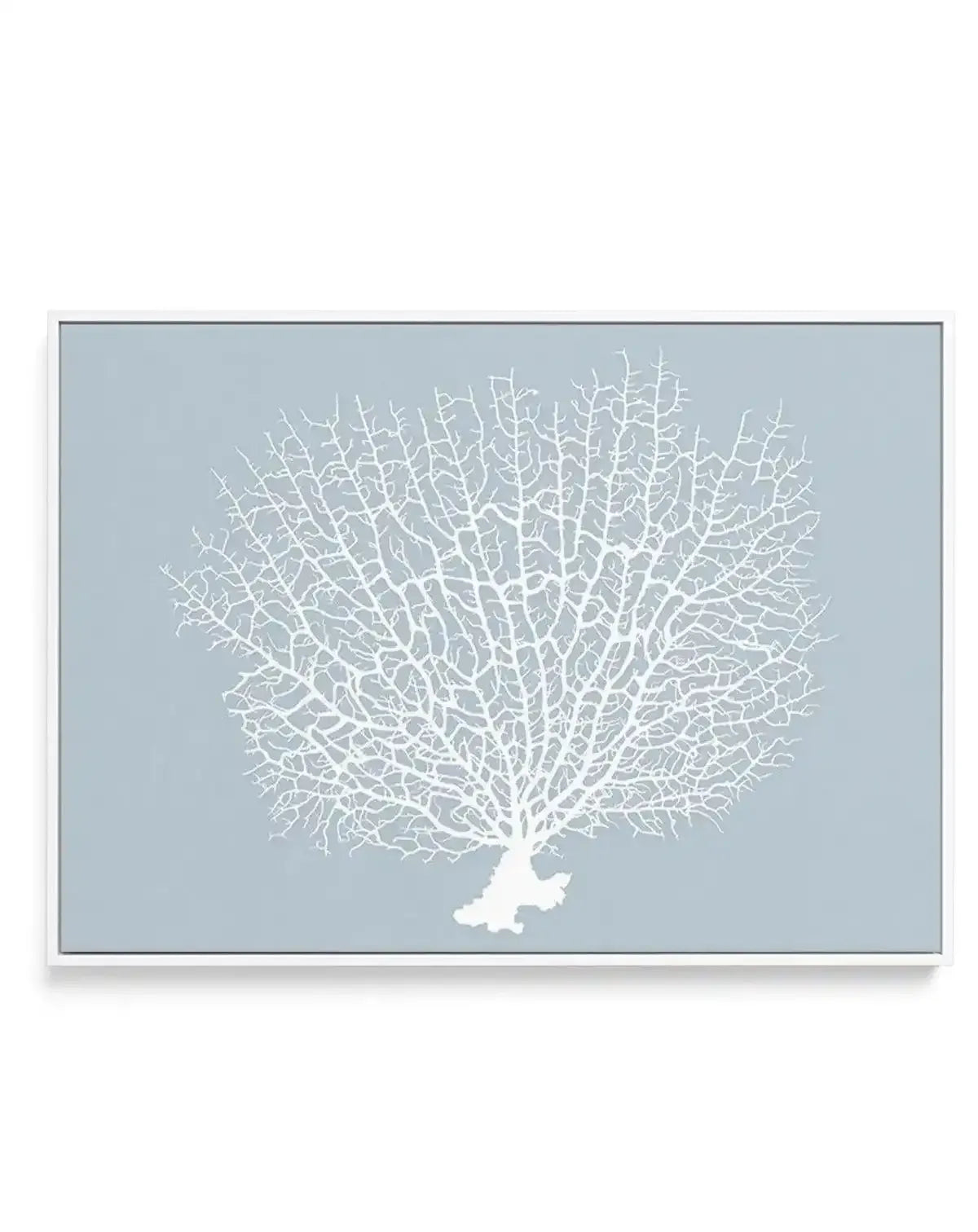 Framed canvas art print featuring a stylized white coral branch against a soft dusty blue background. The coral displays intricate, delicate branching patterns radiating outward in a fan-like formation. The design uses a minimalist illustration style with fine white linework. The canvas is set in a slim gray frame with a white border, displayed as a horizontal rectangular composition.