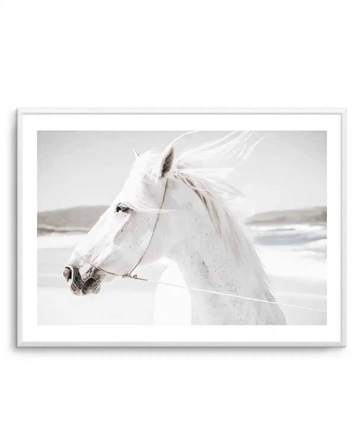 Framed black and white photograph of a white horse with its mane blowing in the wind, displayed in a white frame with a white border. The horse's head and neck are visible, facing left, with a light rope halter around its nose and over its head. The background is a bright, slightly hazy landscape with distant hills and a body of water.