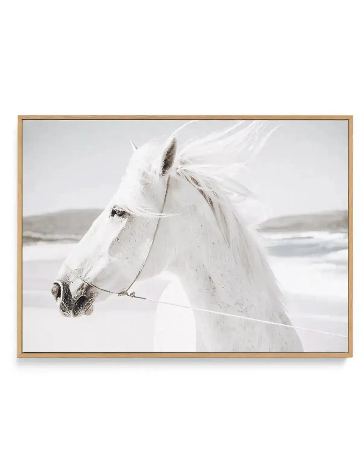Framed canvas art print featuring a white horse in profile facing left, with flowing mane and forelock caught mid-movement. The horse wears a halter and lead rope. Photograph-style imagery with soft, muted tones of cream, white, and gray. Background shows a misty, overcast coastal landscape with water and rolling hills. Natural light and ethereal quality throughout. Displayed in a natural wood frame with white border against white background.