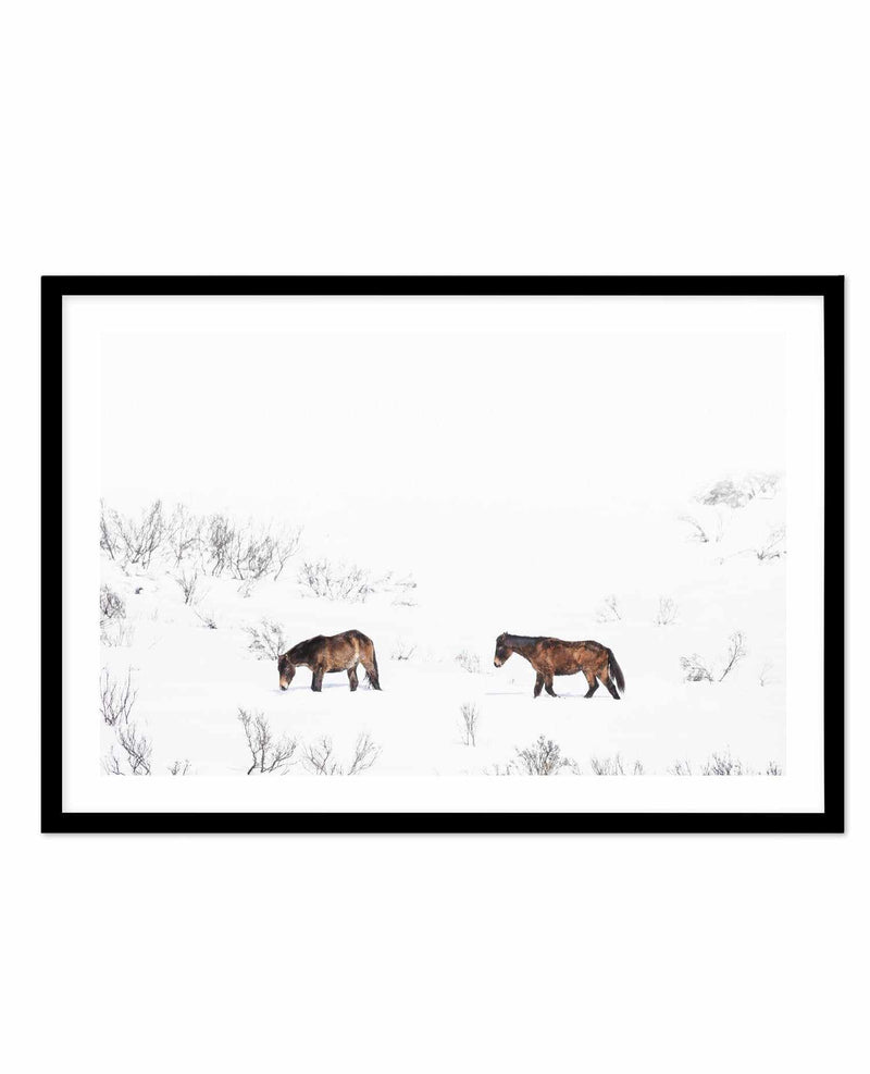 Baby Brumbies Art Print-PRINT-Olive et Oriel-Olive et Oriel-A5 | 5.8" x 8.3" | 14.8 x 21cm-Black-With White Border-Buy-Australian-Art-Prints-Online-with-Olive-et-Oriel-Your-Artwork-Specialists-Austrailia-Decorate-With-Coastal-Photo-Wall-Art-Prints-From-Our-Beach-House-Artwork-Collection-Fine-Poster-and-Framed-Artwork