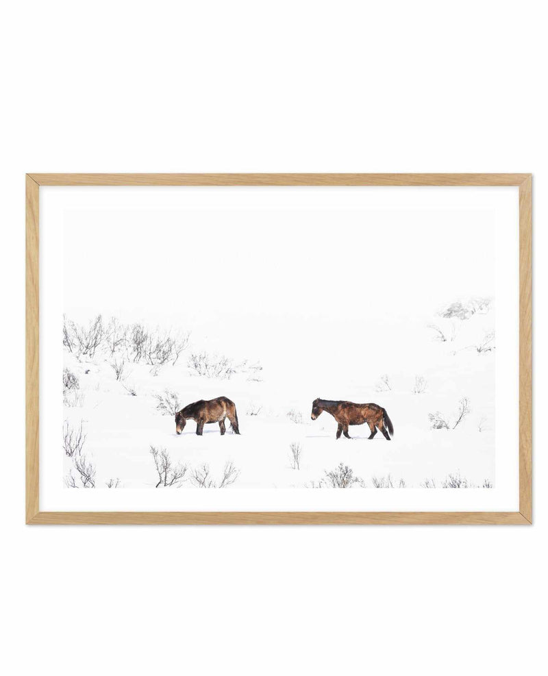 Baby Brumbies Art Print-PRINT-Olive et Oriel-Olive et Oriel-A5 | 5.8" x 8.3" | 14.8 x 21cm-Oak-With White Border-Buy-Australian-Art-Prints-Online-with-Olive-et-Oriel-Your-Artwork-Specialists-Austrailia-Decorate-With-Coastal-Photo-Wall-Art-Prints-From-Our-Beach-House-Artwork-Collection-Fine-Poster-and-Framed-Artwork