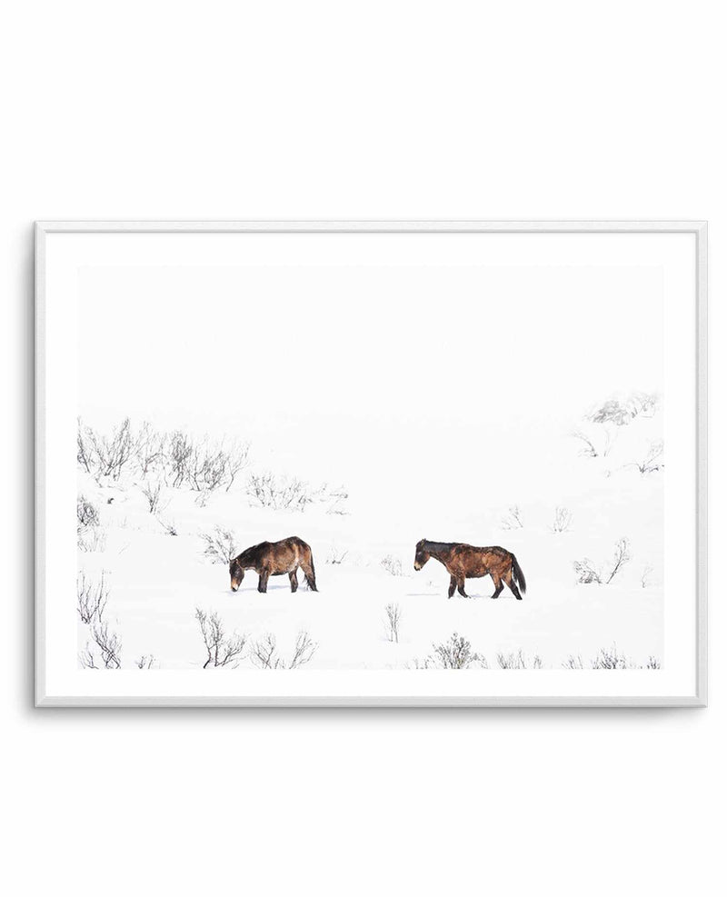 Baby Brumbies Art Print-PRINT-Olive et Oriel-Olive et Oriel-A5 | 5.8" x 8.3" | 14.8 x 21cm-Unframed Art Print-With White Border-Buy-Australian-Art-Prints-Online-with-Olive-et-Oriel-Your-Artwork-Specialists-Austrailia-Decorate-With-Coastal-Photo-Wall-Art-Prints-From-Our-Beach-House-Artwork-Collection-Fine-Poster-and-Framed-Artwork