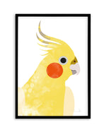 Cockatiel I by Dan Hobday Art Print-PRINT-Olive et Oriel-Dan Hobday-A5 | 5.8" x 8.3" | 14.8 x 21cm-Black-With White Border-Buy-Australian-Art-Prints-Online-with-Olive-et-Oriel-Your-Artwork-Specialists-Austrailia-Decorate-With-Coastal-Photo-Wall-Art-Prints-From-Our-Beach-House-Artwork-Collection-Fine-Poster-and-Framed-Artwork