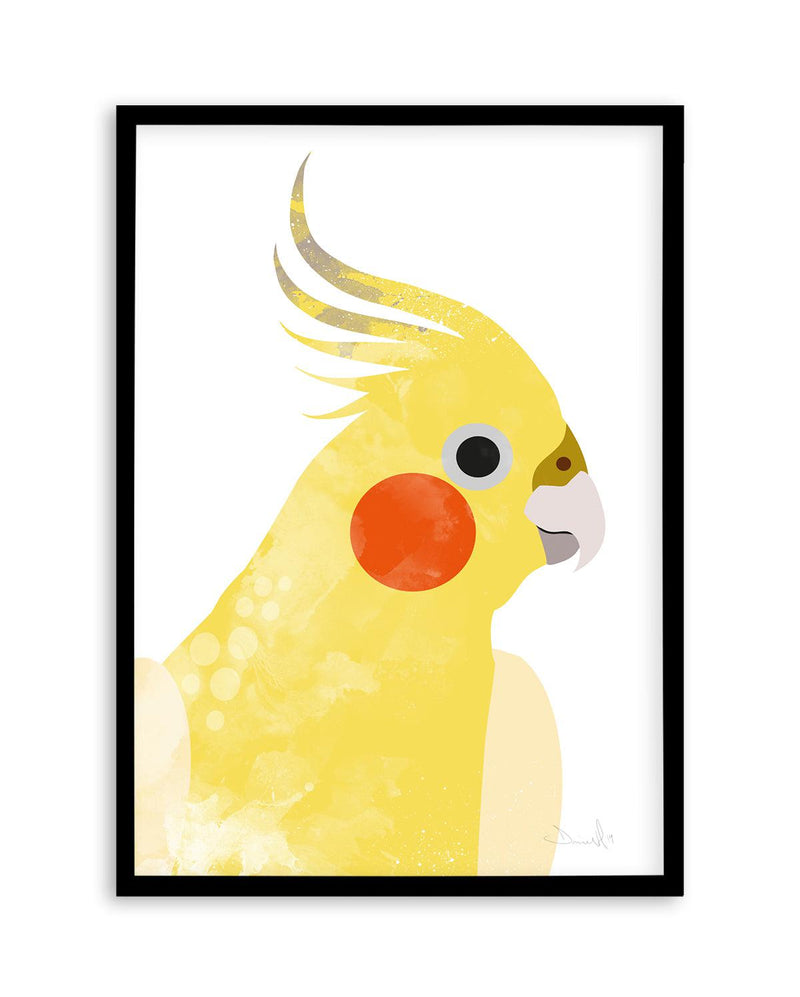 Cockatiel I by Dan Hobday Art Print-PRINT-Olive et Oriel-Dan Hobday-A5 | 5.8" x 8.3" | 14.8 x 21cm-Black-With White Border-Buy-Australian-Art-Prints-Online-with-Olive-et-Oriel-Your-Artwork-Specialists-Austrailia-Decorate-With-Coastal-Photo-Wall-Art-Prints-From-Our-Beach-House-Artwork-Collection-Fine-Poster-and-Framed-Artwork