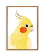 Cockatiel I by Dan Hobday Art Print-PRINT-Olive et Oriel-Dan Hobday-50x70 cm | 19.6" x 27.5"-Walnut-With White Border-Buy-Australian-Art-Prints-Online-with-Olive-et-Oriel-Your-Artwork-Specialists-Austrailia-Decorate-With-Coastal-Photo-Wall-Art-Prints-From-Our-Beach-House-Artwork-Collection-Fine-Poster-and-Framed-Artwork