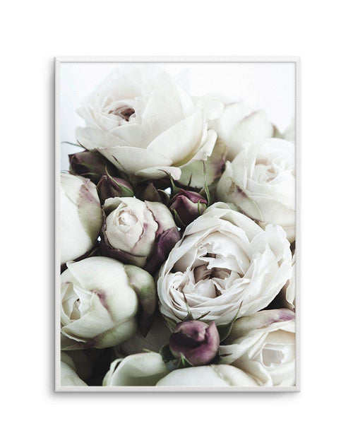 David Austin Roses Art Print-PRINT-Olive et Oriel-Olive et Oriel-A4 | 8.3" x 11.7" | 21 x 29.7cm-Unframed Art Print-With White Border-Buy-Australian-Art-Prints-Online-with-Olive-et-Oriel-Your-Artwork-Specialists-Austrailia-Decorate-With-Coastal-Photo-Wall-Art-Prints-From-Our-Beach-House-Artwork-Collection-Fine-Poster-and-Framed-Artwork