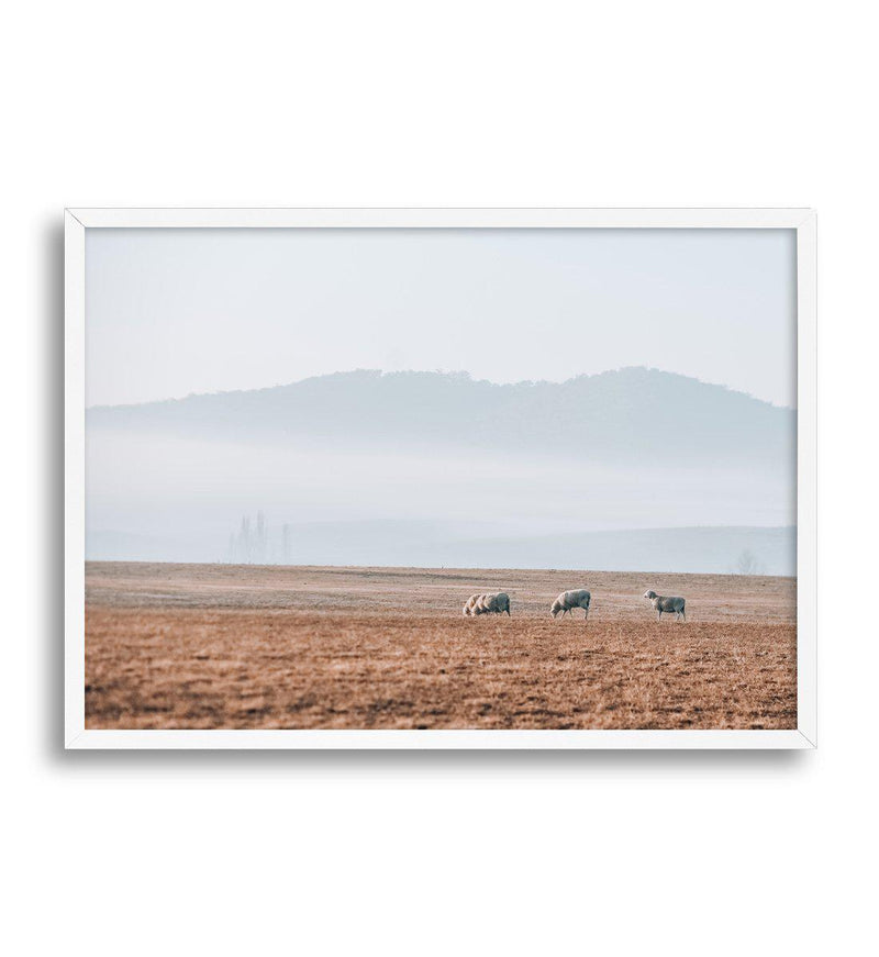 Grazing Lands Art Print-PRINT-Olive et Oriel-Olive et Oriel-A3 | 11.7" x 16.5" | 29.7 x 42 cm-White-With White Border-Buy-Australian-Art-Prints-Online-with-Olive-et-Oriel-Your-Artwork-Specialists-Austrailia-Decorate-With-Coastal-Photo-Wall-Art-Prints-From-Our-Beach-House-Artwork-Collection-Fine-Poster-and-Framed-Artwork