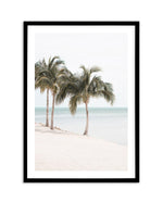 Island Palms Art Print-PRINT-Olive et Oriel-Olive et Oriel-A4 | 8.3" x 11.7" | 21 x 29.7cm-Black-With White Border-Buy-Australian-Art-Prints-Online-with-Olive-et-Oriel-Your-Artwork-Specialists-Austrailia-Decorate-With-Coastal-Photo-Wall-Art-Prints-From-Our-Beach-House-Artwork-Collection-Fine-Poster-and-Framed-Artwork
