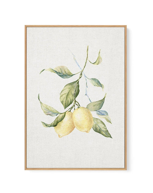 Lemons on Linen III | Framed Canvas-CANVAS-You can shop wall art online with Olive et Oriel for everything from abstract art to fun kids wall art. Our beautiful modern art prints and canvas art are available from large canvas prints to wall art paintings and our proudly Australian artwork collection offers only the highest quality framed large wall art and canvas art Australia - You can buy fashion photography prints or Hampton print posters and paintings on canvas from Olive et Oriel and have t