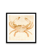 Little Bohemian Crab by Natalie Jane Art Print