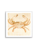 Little Bohemian Crab by Natalie Jane Art Print