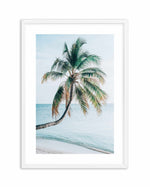 Maldivian Palm I Art Print-PRINT-Olive et Oriel-Olive et Oriel-A5 | 5.8" x 8.3" | 14.8 x 21cm-White-With White Border-Buy-Australian-Art-Prints-Online-with-Olive-et-Oriel-Your-Artwork-Specialists-Austrailia-Decorate-With-Coastal-Photo-Wall-Art-Prints-From-Our-Beach-House-Artwork-Collection-Fine-Poster-and-Framed-Artwork