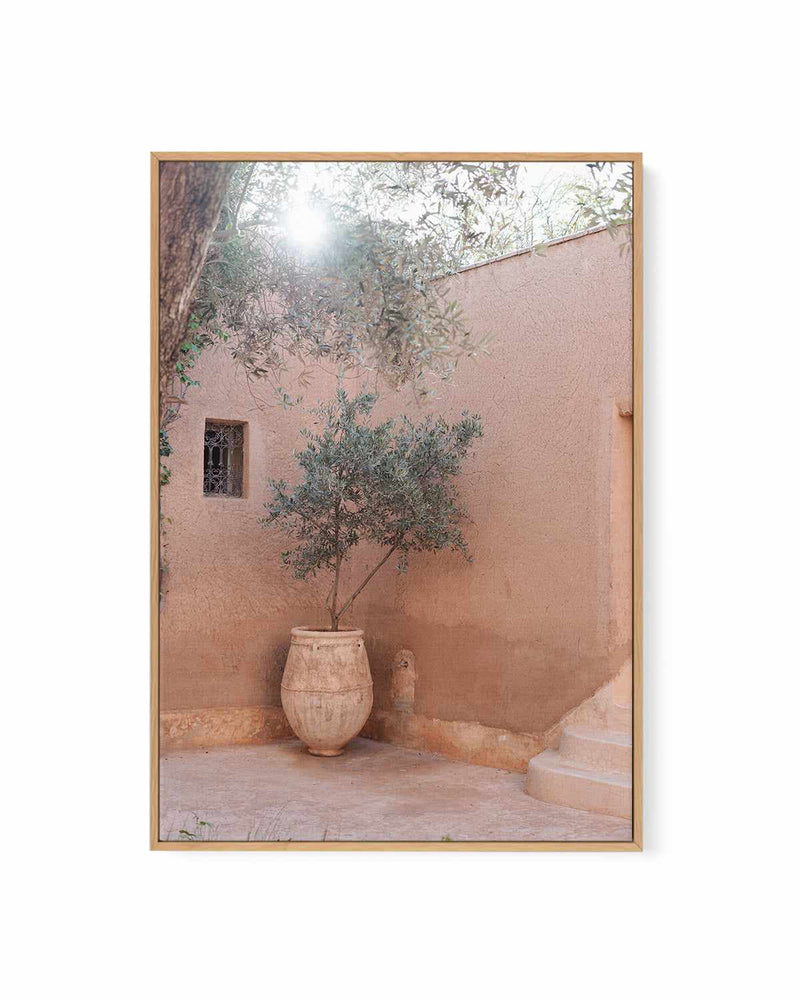 Moroccan Vase by Renee Rae | Framed Canvas Art Print