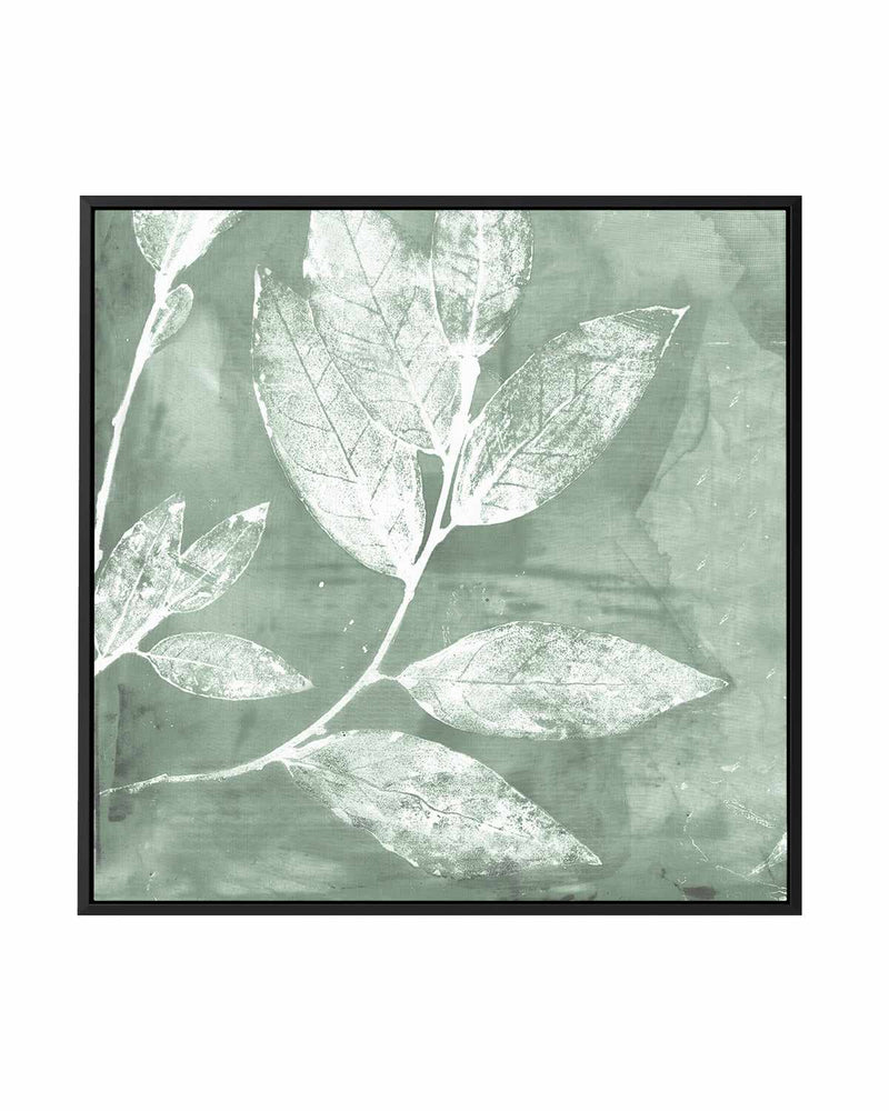 Petal Imprint I Sage | Framed Canvas Art Print