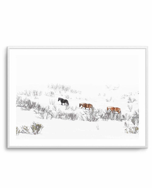 Snowy Mountains Brumbies II Art Print-PRINT-Olive et Oriel-Olive et Oriel-A5 | 5.8" x 8.3" | 14.8 x 21cm-Unframed Art Print-With White Border-Buy-Australian-Art-Prints-Online-with-Olive-et-Oriel-Your-Artwork-Specialists-Austrailia-Decorate-With-Coastal-Photo-Wall-Art-Prints-From-Our-Beach-House-Artwork-Collection-Fine-Poster-and-Framed-Artwork