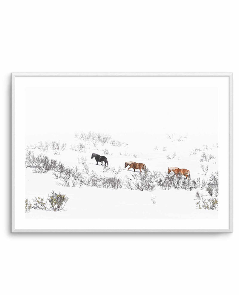 Snowy Mountains Brumbies II Art Print-PRINT-Olive et Oriel-Olive et Oriel-A5 | 5.8" x 8.3" | 14.8 x 21cm-Unframed Art Print-With White Border-Buy-Australian-Art-Prints-Online-with-Olive-et-Oriel-Your-Artwork-Specialists-Austrailia-Decorate-With-Coastal-Photo-Wall-Art-Prints-From-Our-Beach-House-Artwork-Collection-Fine-Poster-and-Framed-Artwork