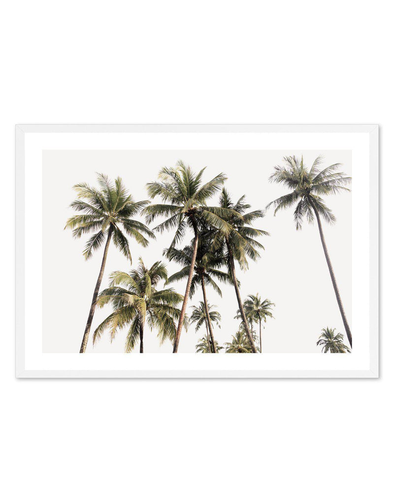 Tropical Palm Trees LS Art Print-PRINT-Olive et Oriel-Olive et Oriel-A5 | 5.8" x 8.3" | 14.8 x 21cm-White-With White Border-Buy-Australian-Art-Prints-Online-with-Olive-et-Oriel-Your-Artwork-Specialists-Austrailia-Decorate-With-Coastal-Photo-Wall-Art-Prints-From-Our-Beach-House-Artwork-Collection-Fine-Poster-and-Framed-Artwork