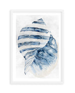 Watercolour Shell II Art Print-PRINT-Olive et Oriel-Olive et Oriel-A5 | 5.8" x 8.3" | 14.8 x 21cm-White-With White Border-Buy-Australian-Art-Prints-Online-with-Olive-et-Oriel-Your-Artwork-Specialists-Austrailia-Decorate-With-Coastal-Photo-Wall-Art-Prints-From-Our-Beach-House-Artwork-Collection-Fine-Poster-and-Framed-Artwork