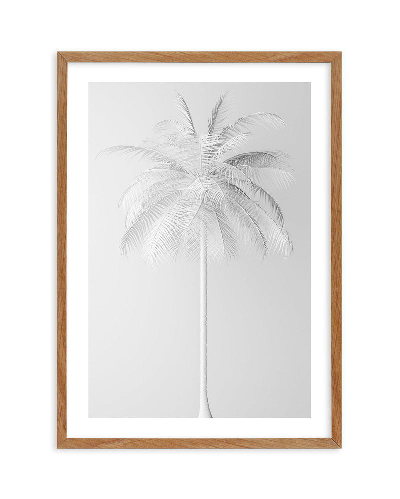 White Palm on Grey Art Print-PRINT-Olive et Oriel-Olive et Oriel-50x70 cm | 19.6" x 27.5"-Walnut-With White Border-Buy-Australian-Art-Prints-Online-with-Olive-et-Oriel-Your-Artwork-Specialists-Austrailia-Decorate-With-Coastal-Photo-Wall-Art-Prints-From-Our-Beach-House-Artwork-Collection-Fine-Poster-and-Framed-Artwork