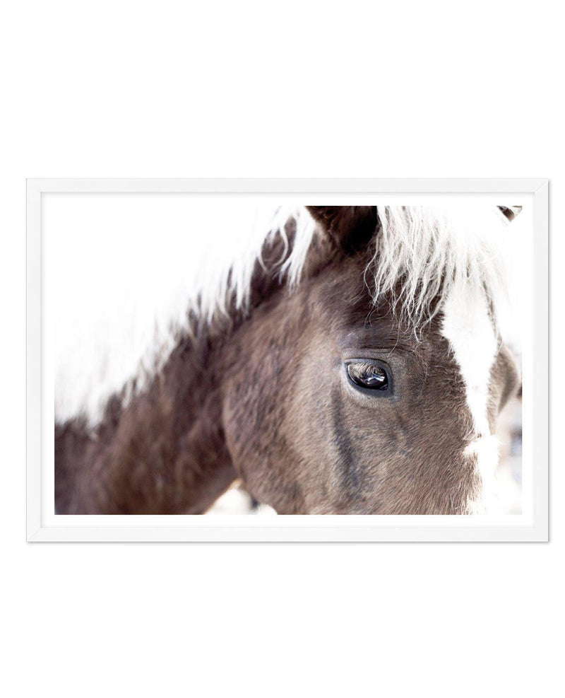Aiko | Brown Horse Art Print-PRINT-Olive et Oriel-Olive et Oriel-A5 | 5.8" x 8.3" | 14.8 x 21cm-White-With White Border-Buy-Australian-Art-Prints-Online-with-Olive-et-Oriel-Your-Artwork-Specialists-Austrailia-Decorate-With-Coastal-Photo-Wall-Art-Prints-From-Our-Beach-House-Artwork-Collection-Fine-Poster-and-Framed-Artwork