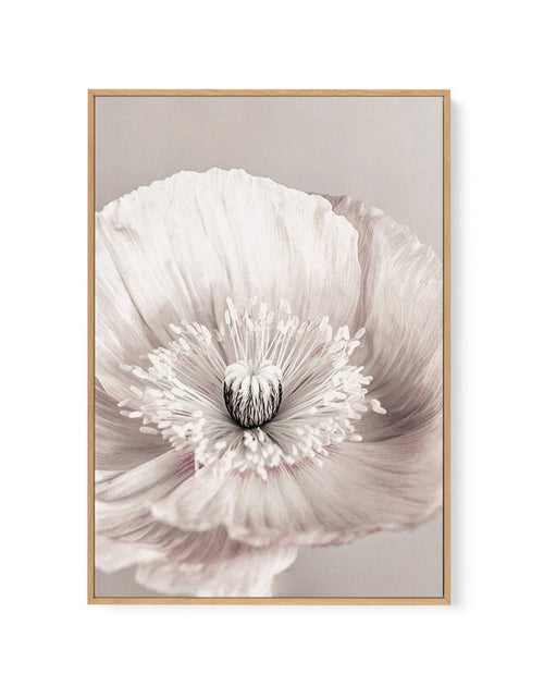 Belle Fleur | Framed Canvas-CANVAS-You can shop wall art online with Olive et Oriel for everything from abstract art to fun kids wall art. Our beautiful modern art prints and canvas art are available from large canvas prints to wall art paintings and our proudly Australian artwork collection offers only the highest quality framed large wall art and canvas art Australia - You can buy fashion photography prints or Hampton print posters and paintings on canvas from Olive et Oriel and have them deli
