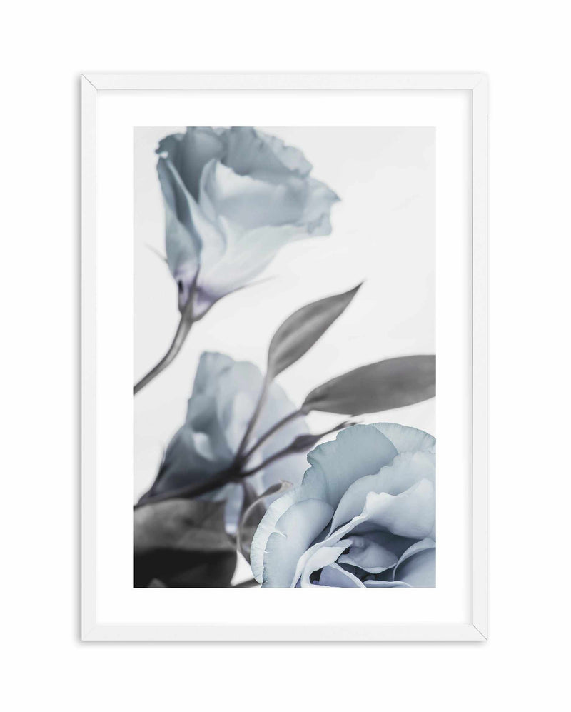 Blue Lisianthus I Art Print-PRINT-Olive et Oriel-Olive et Oriel-A5 | 5.8" x 8.3" | 14.8 x 21cm-White-With White Border-Buy-Australian-Art-Prints-Online-with-Olive-et-Oriel-Your-Artwork-Specialists-Austrailia-Decorate-With-Coastal-Photo-Wall-Art-Prints-From-Our-Beach-House-Artwork-Collection-Fine-Poster-and-Framed-Artwork