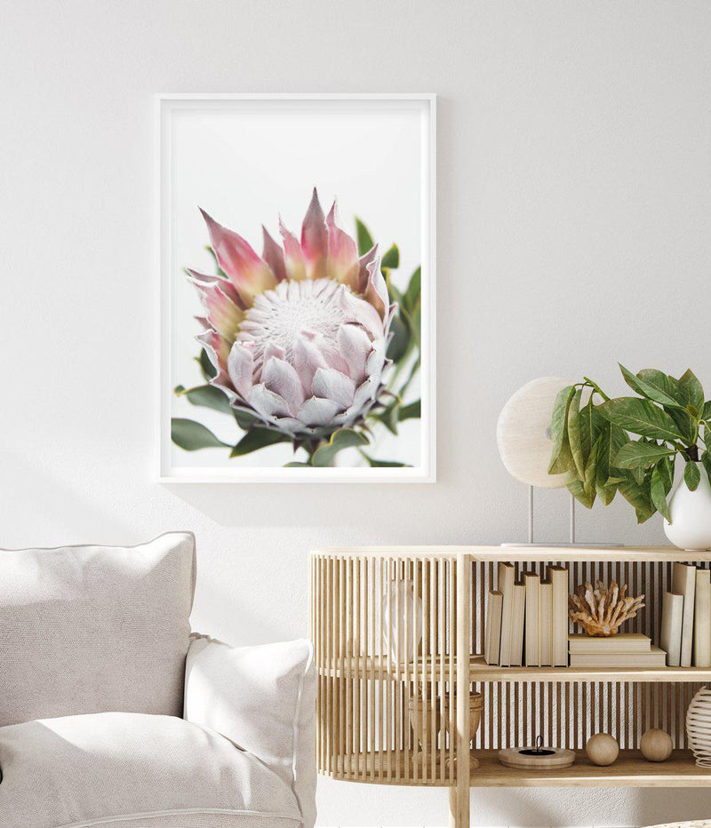 Blushing Protea Art Print-PRINT-Olive et Oriel-Olive et Oriel-Buy-Australian-Art-Prints-Online-with-Olive-et-Oriel-Your-Artwork-Specialists-Austrailia-Decorate-With-Coastal-Photo-Wall-Art-Prints-From-Our-Beach-House-Artwork-Collection-Fine-Poster-and-Framed-Artwork