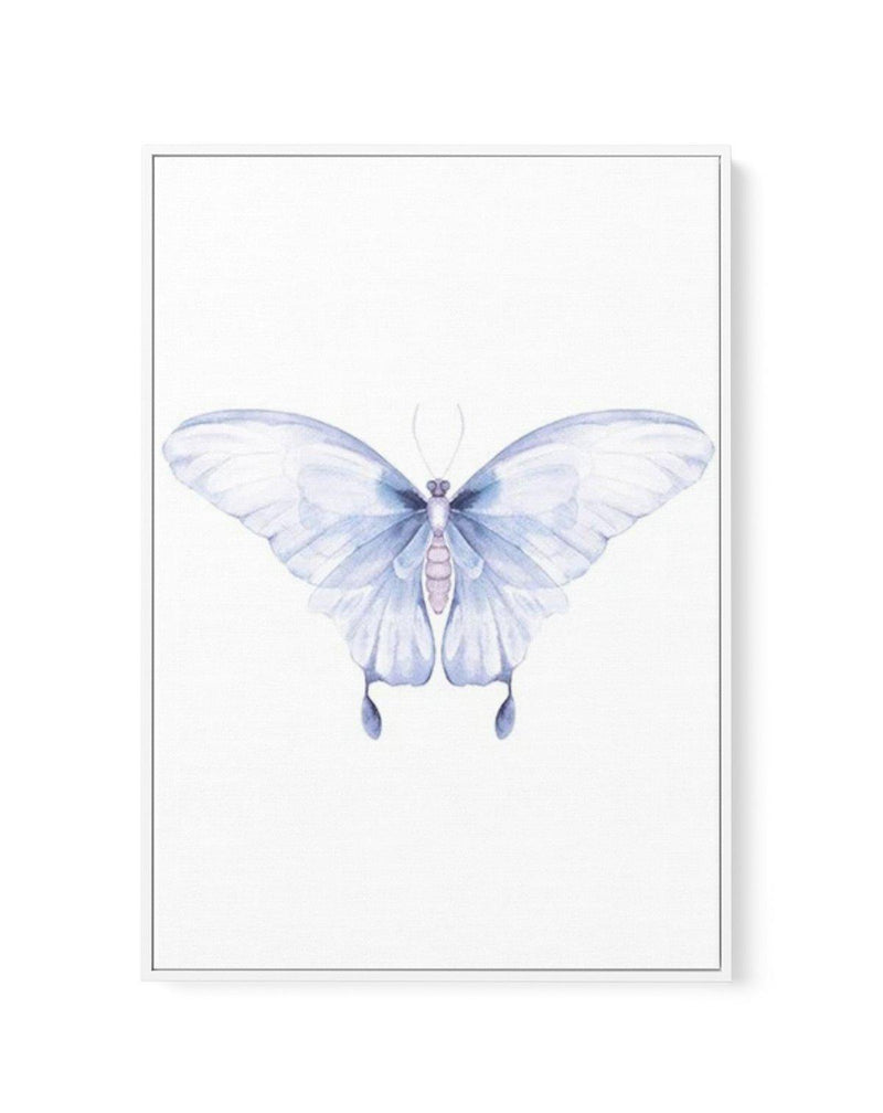 Butterfly I | Framed Canvas-CANVAS-You can shop wall art online with Olive et Oriel for everything from abstract art to fun kids wall art. Our beautiful modern art prints and canvas art are available from large canvas prints to wall art paintings and our proudly Australian artwork collection offers only the highest quality framed large wall art and canvas art Australia - You can buy fashion photography prints or Hampton print posters and paintings on canvas from Olive et Oriel and have them deli