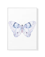 Butterfly II | Framed Canvas-CANVAS-You can shop wall art online with Olive et Oriel for everything from abstract art to fun kids wall art. Our beautiful modern art prints and canvas art are available from large canvas prints to wall art paintings and our proudly Australian artwork collection offers only the highest quality framed large wall art and canvas art Australia - You can buy fashion photography prints or Hampton print posters and paintings on canvas from Olive et Oriel and have them del