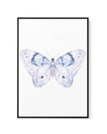 Butterfly II | Framed Canvas-CANVAS-You can shop wall art online with Olive et Oriel for everything from abstract art to fun kids wall art. Our beautiful modern art prints and canvas art are available from large canvas prints to wall art paintings and our proudly Australian artwork collection offers only the highest quality framed large wall art and canvas art Australia - You can buy fashion photography prints or Hampton print posters and paintings on canvas from Olive et Oriel and have them del