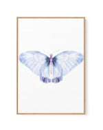 Butterfly III | Framed Canvas-CANVAS-You can shop wall art online with Olive et Oriel for everything from abstract art to fun kids wall art. Our beautiful modern art prints and canvas art are available from large canvas prints to wall art paintings and our proudly Australian artwork collection offers only the highest quality framed large wall art and canvas art Australia - You can buy fashion photography prints or Hampton print posters and paintings on canvas from Olive et Oriel and have them de