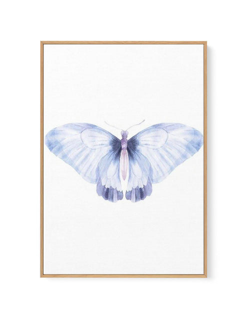 Butterfly III | Framed Canvas-CANVAS-You can shop wall art online with Olive et Oriel for everything from abstract art to fun kids wall art. Our beautiful modern art prints and canvas art are available from large canvas prints to wall art paintings and our proudly Australian artwork collection offers only the highest quality framed large wall art and canvas art Australia - You can buy fashion photography prints or Hampton print posters and paintings on canvas from Olive et Oriel and have them de