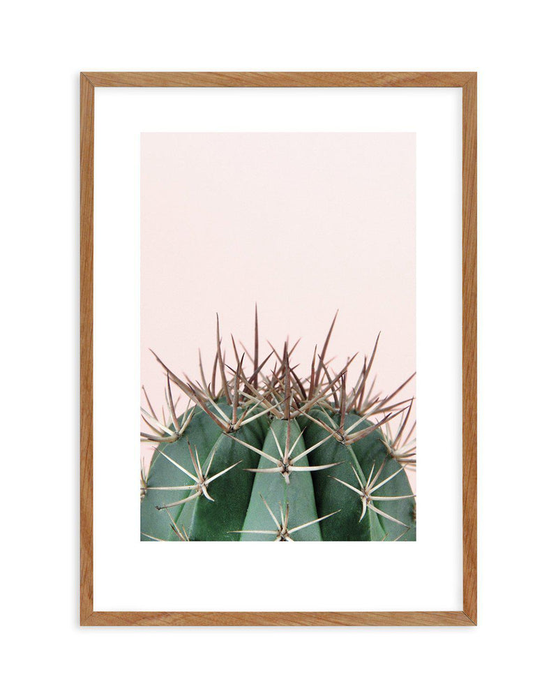 Cactus On Pink II Art Print-PRINT-Olive et Oriel-Olive et Oriel-50x70 cm | 19.6" x 27.5"-Walnut-With White Border-Buy-Australian-Art-Prints-Online-with-Olive-et-Oriel-Your-Artwork-Specialists-Austrailia-Decorate-With-Coastal-Photo-Wall-Art-Prints-From-Our-Beach-House-Artwork-Collection-Fine-Poster-and-Framed-Artwork