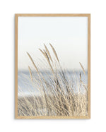 Coastal Grass Art Print-PRINT-Olive et Oriel-Olive et Oriel-Buy-Australian-Art-Prints-Online-with-Olive-et-Oriel-Your-Artwork-Specialists-Austrailia-Decorate-With-Coastal-Photo-Wall-Art-Prints-From-Our-Beach-House-Artwork-Collection-Fine-Poster-and-Framed-Artwork